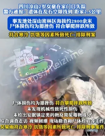 2岁女童走失案通报结果